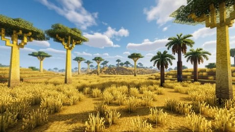 Саванна в Майнкрафт особенности биома мобы и ресурсы