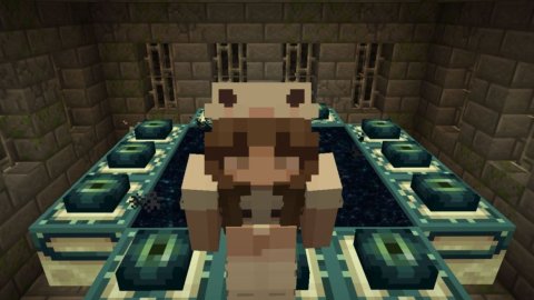 Гайд на Подземную крепость в Minecraft как найти портал в Эндермир