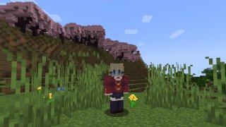 Трава в Minecraft что это за блок и зачем он нужен