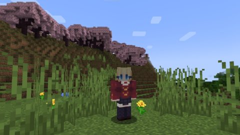 Трава в Minecraft что это за блок и зачем он нужен