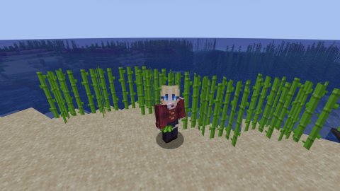 Сахарный тростник в Minecraft полный гайд по растению с примерами автоферм