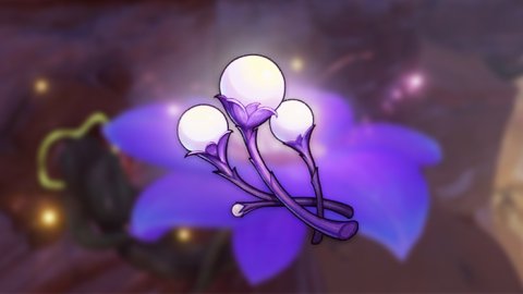 Бутоны удумбары в Genshin Impact как найти и собрать цветки