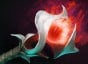 dota Orchid Malevolence icon